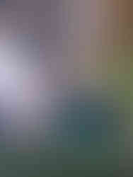 dawny przystanek tramwajowy w parku sołackim