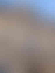 Opactwo Cystersów w Lubiążu