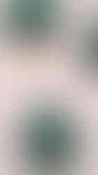 serwetka w kształcie choinki