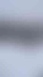 dziewczyna rzuca patyk psu na spacerze zimą