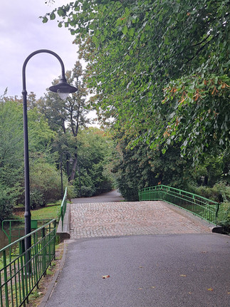 most w Parku Sołackim