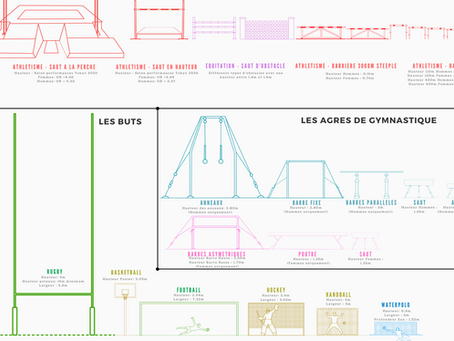 Infographie - La hauteur dans les sports olympiques (été)