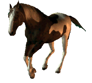 Cheval au galop.gif