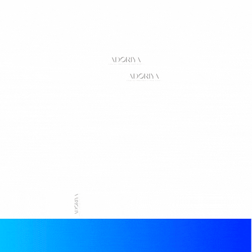 CATEGORY (4).gif