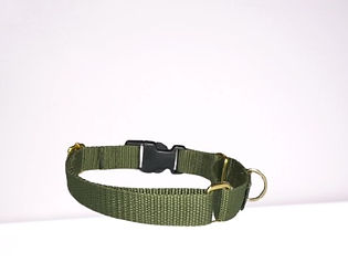 image3__1_-removebg-preview%20(1)_edited