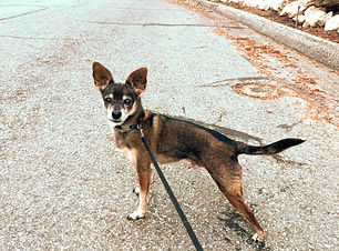 unnamed (2)_edited_edited.jpg