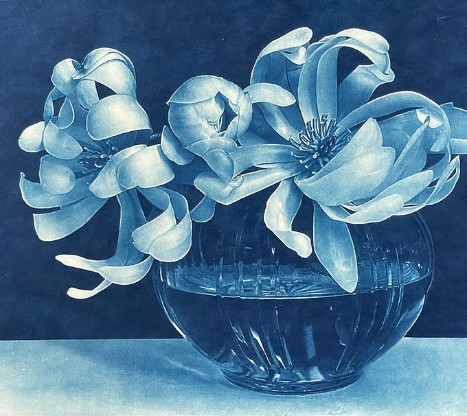 Blue Magnolias in Vase - Claudia Hollister.jpeg
