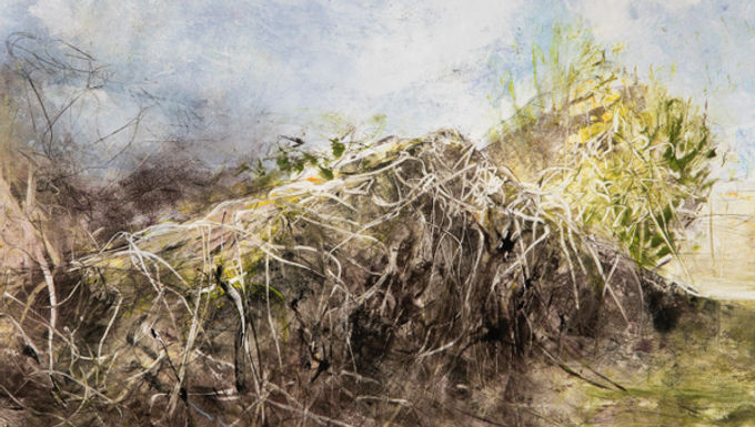 The Magic of Monotype