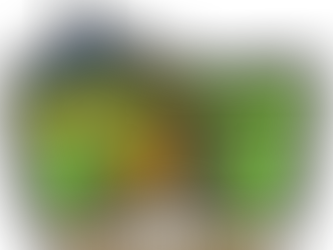 Holy Shift! Vision Renewal