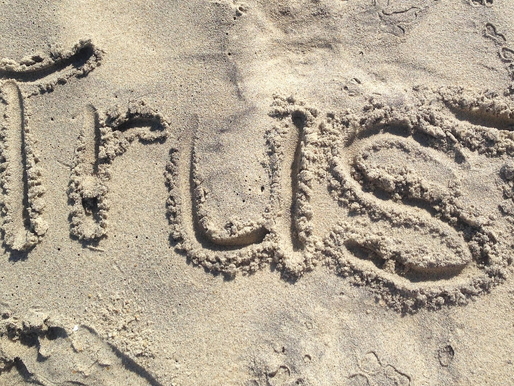 "Trust in the Lord...