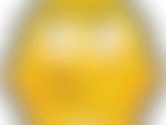 Ever wonder about Lay School?