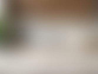 Top Kitchen Renovation Insights: Elevate Your Space with Timeless Style