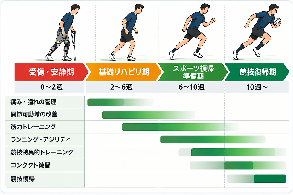 リハビリから競技復帰までの流れ.png