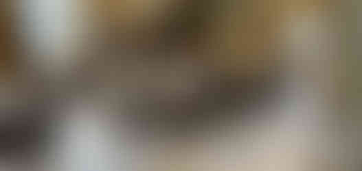 パリのパッサージュ・ギャルリー・ヴィヴィエンヌ