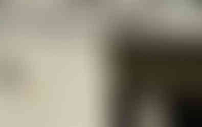 ユニテ・ダビダシオンにはモデュロールが入ってました