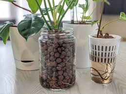 Hydroponie a semi-hydroponie jednoduše