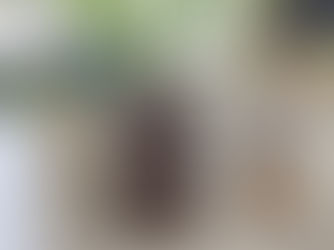 Hydroponie a semi-hydroponie jednoduše