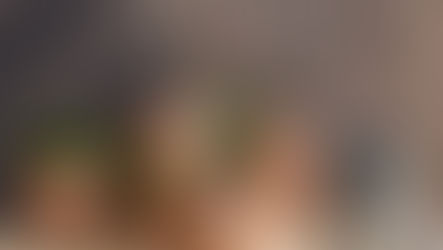 Výhody hliněných květináčů pro vaše pokojové rostliny