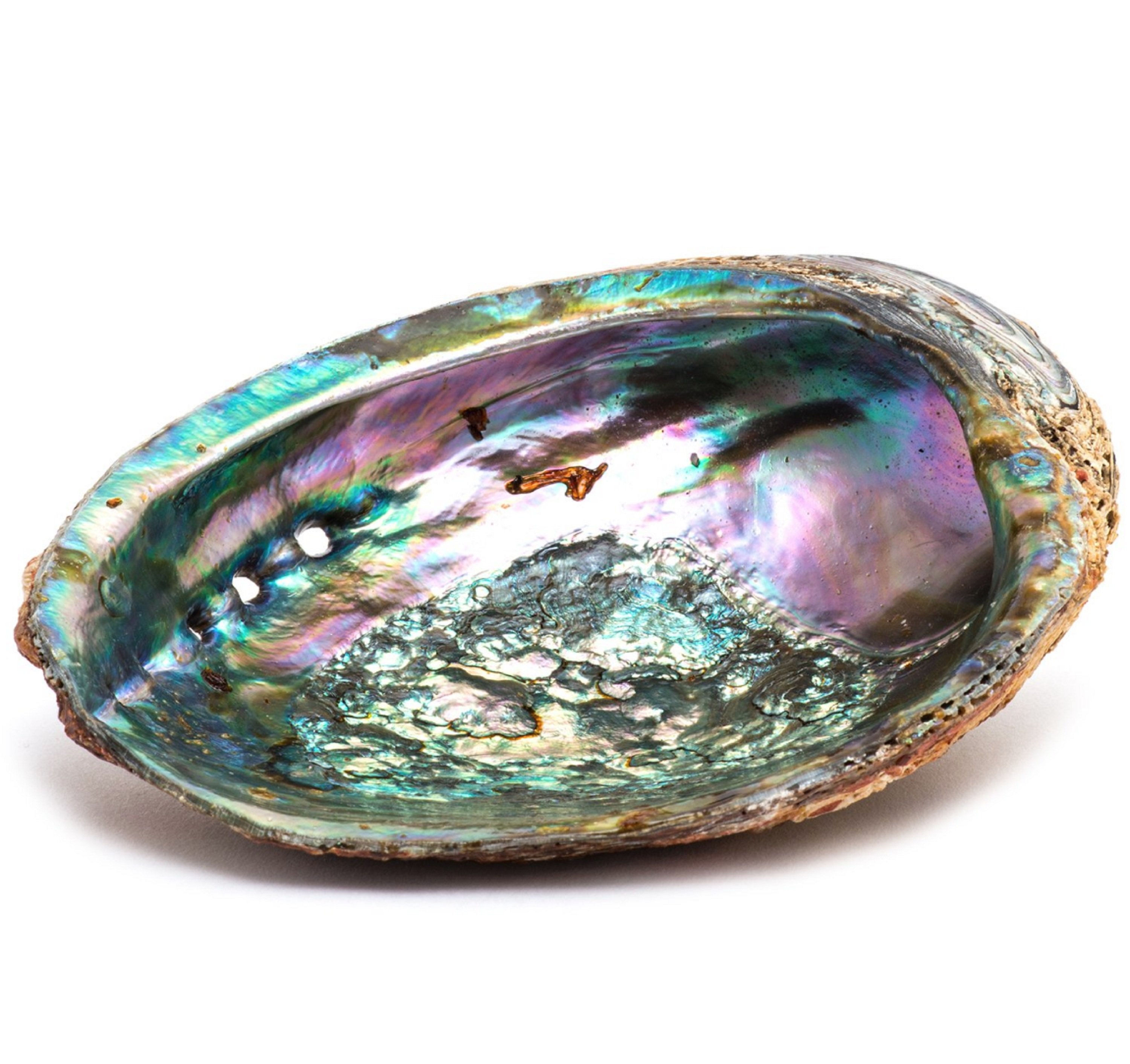 Product: Smudge Ash Tray Burner - Abalone Shell - Large
