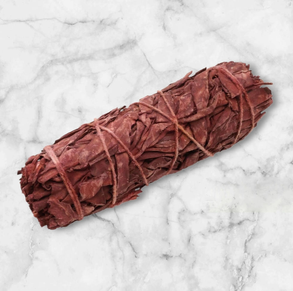 Sauge blanche sang du dragon 🐉