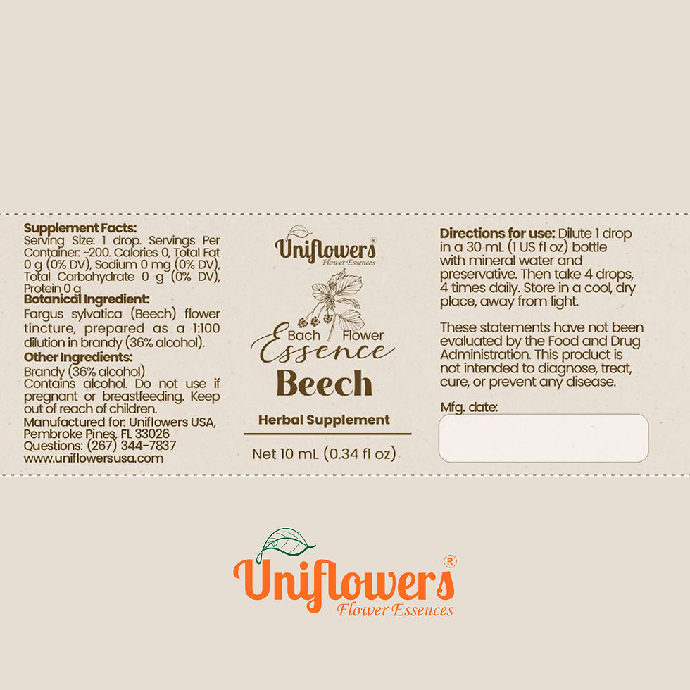 Thumbnail: Bach Flower Essence Beech