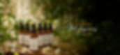 Banner stock 02 copiar.jpg