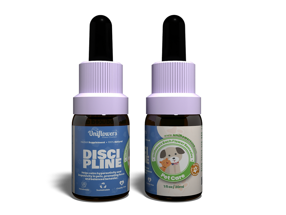 Discipline • Uniflowers Pet Care