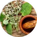 oleo-essencial-salvia-esclareia.png.webp