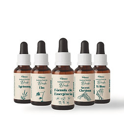 Kit com 10 essências florais de Bach 10 ml