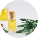 oleo-essencial-alecrim.png.webp