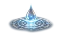 floral copiar 03.webp