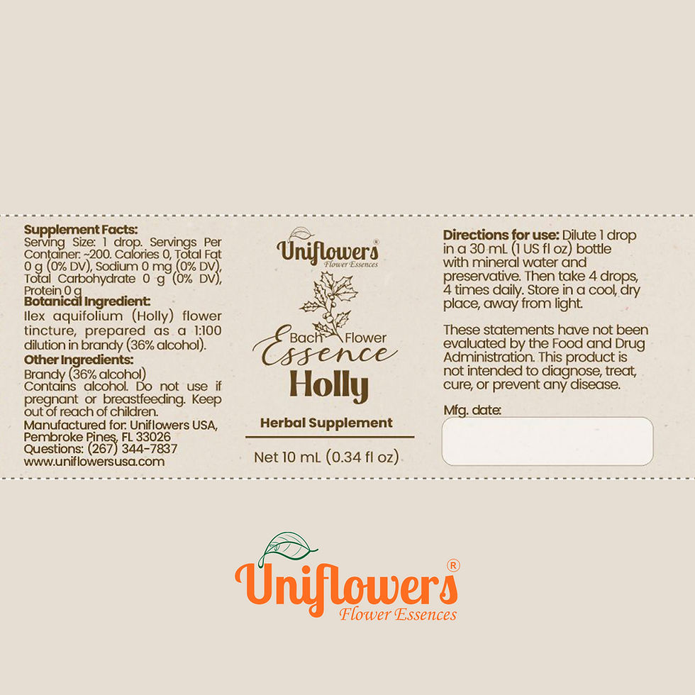 Thumbnail: Bach Flower Essence Holly