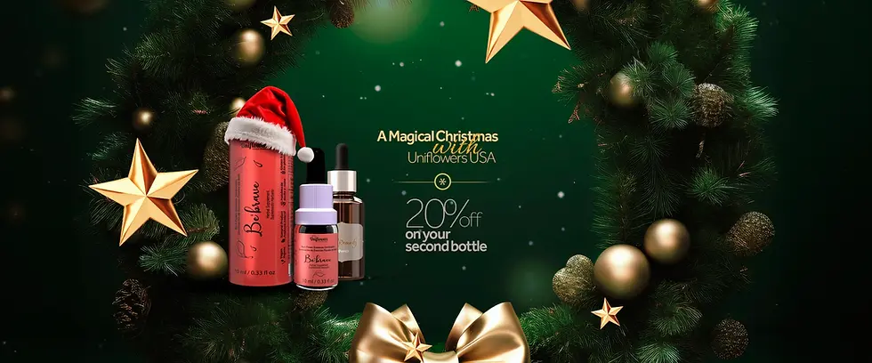 Banner Site copiar.webp