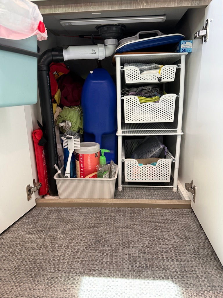 Under-sink cabinet with cleaning supplies, blue canister, white baskets, and sponges. Gray carpeted floor. Neatly organized storage.