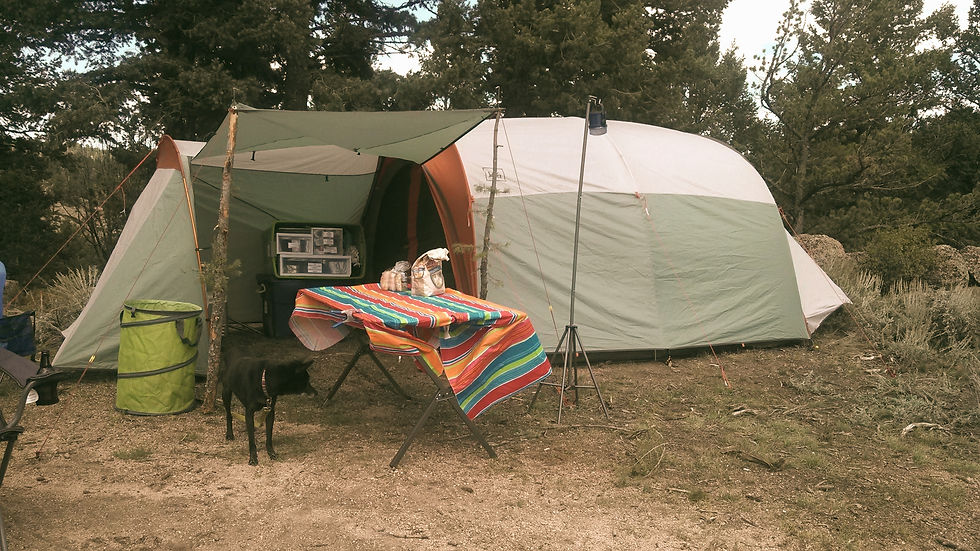 Tent in a forest setting, colorful striped tablecloth with food items, a black dog nearby. Calm and outdoor vibe.