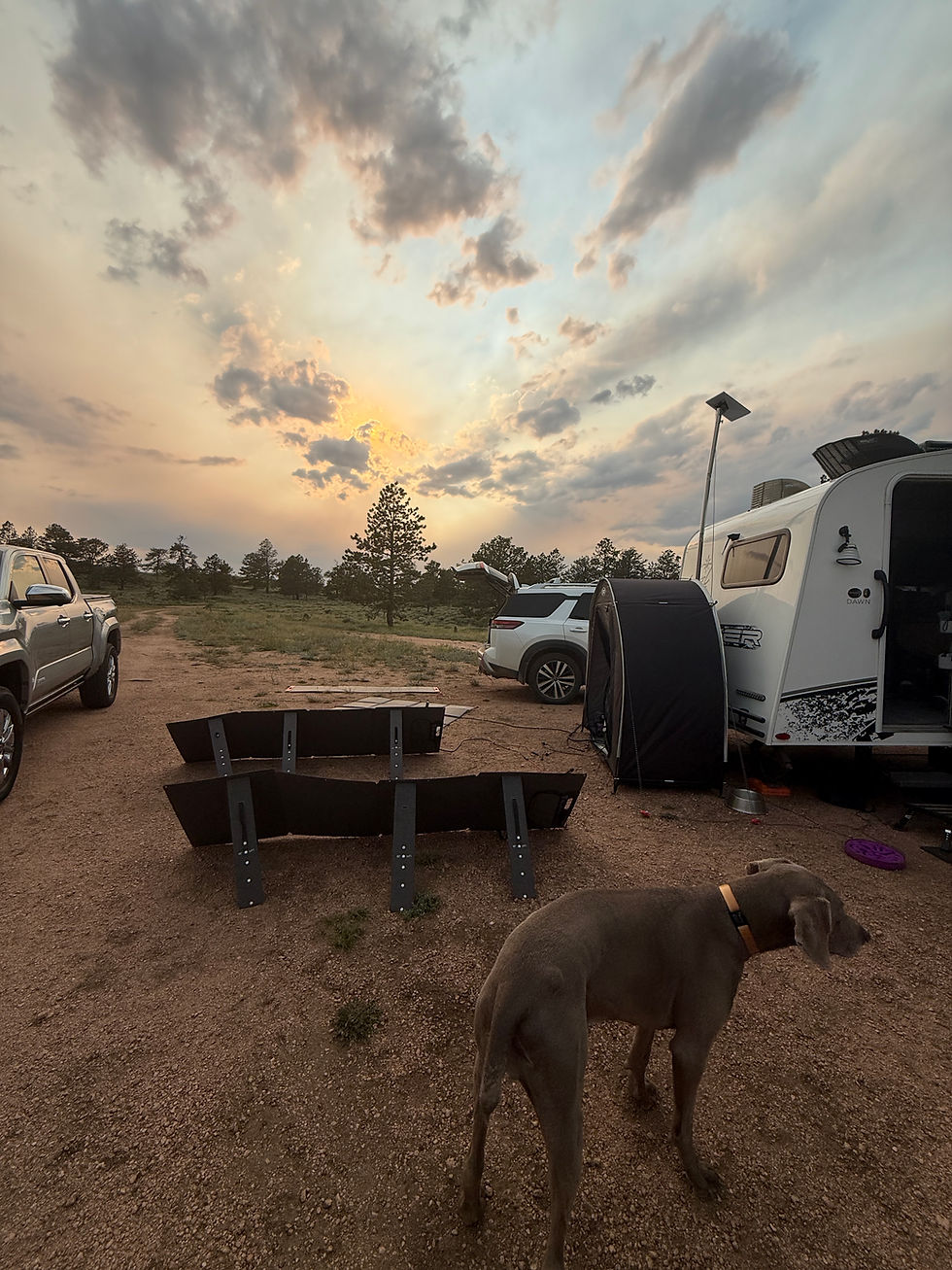 Dog stands at a gravel campsite with trucks and a camper under a dramatic sunset sky.
