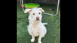 Edit Squirt's Story.gif