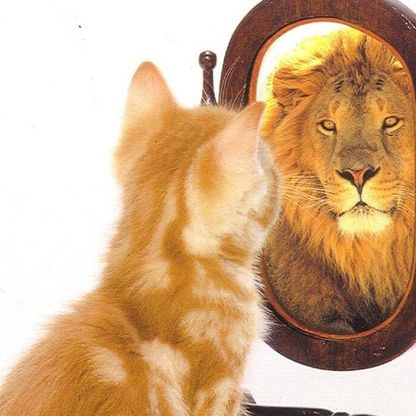 Atelier Méditation : De l'estime de soi à la confiance en soi
