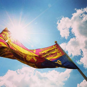 WELCOME TO WORLD ROYALTY