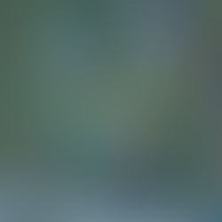 Unique Island Vacation Rentals