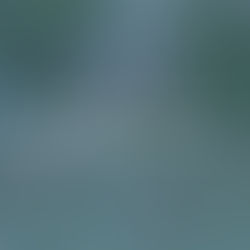 Sea Star Villa…Our favorite vacation home in Exuma