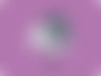 부동산 투자 수익 분석 : 임대 수익을 높이는 방법