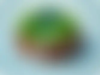 그린벨트 해제 후 부동산 가격 변화, 투자 전략은?