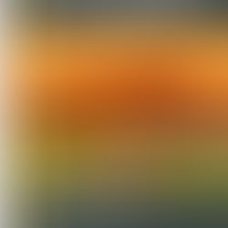 2023-2025 End of Year Report