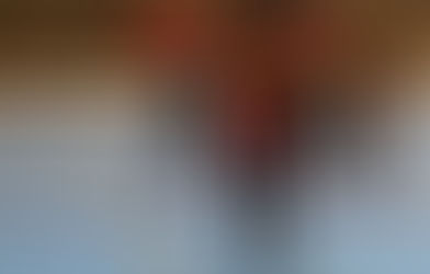 Un training avec les Baronnes Von Schlass