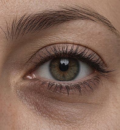 05-Mercado.png