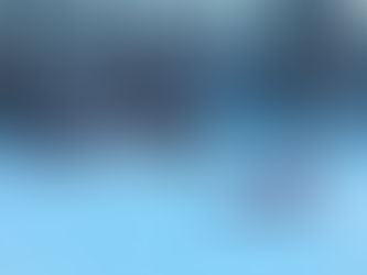 JANUARY 2nd - We have just passed the arctic circle