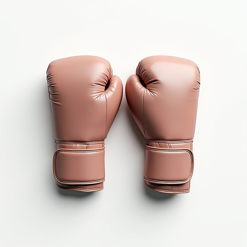 Elite Pro Boxing Gloves