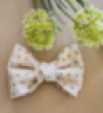 dapper bowtie for dogs