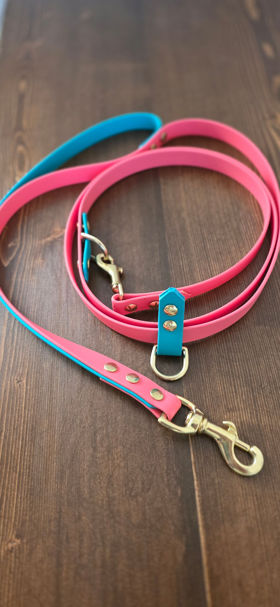4 way convertible leash made of bright colored  biothane